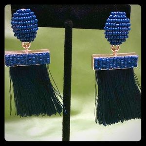 Super cute Navy Blue tassel earrings.